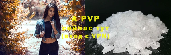стаф Алексеевка