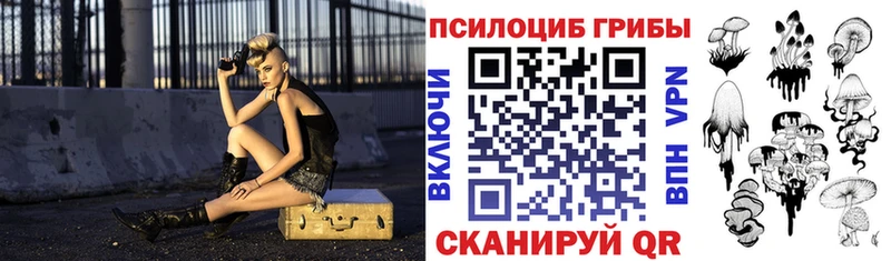 где найти наркотики  Наволоки  кракен зеркало  Псилоцибиновые грибы Magic Shrooms 